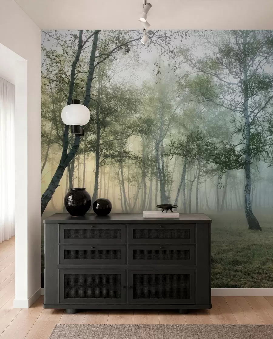 carta da parati Nebbia foresta di betulle nr. u25820