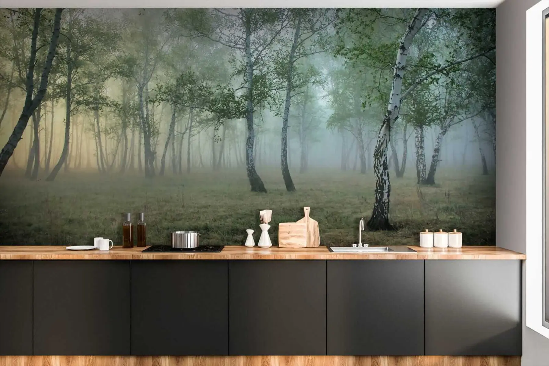 carta da parati Nebbia foresta di betulle nr. u25820