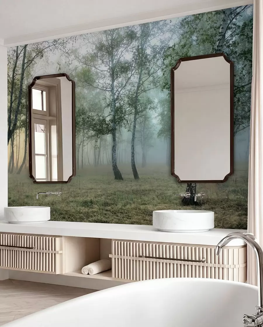 carta da parati Nebbia foresta di betulle nr. u25820