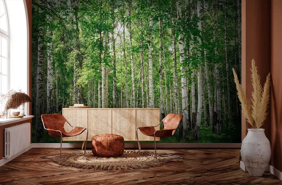 carta da parati Bosco di betulle nr. u52530