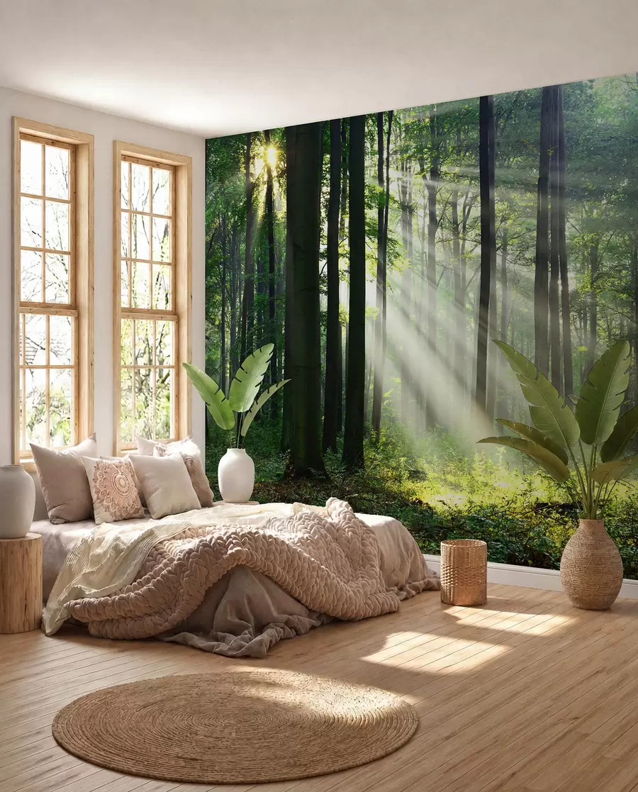 Carta da parati nature Sole tra gli alberi 