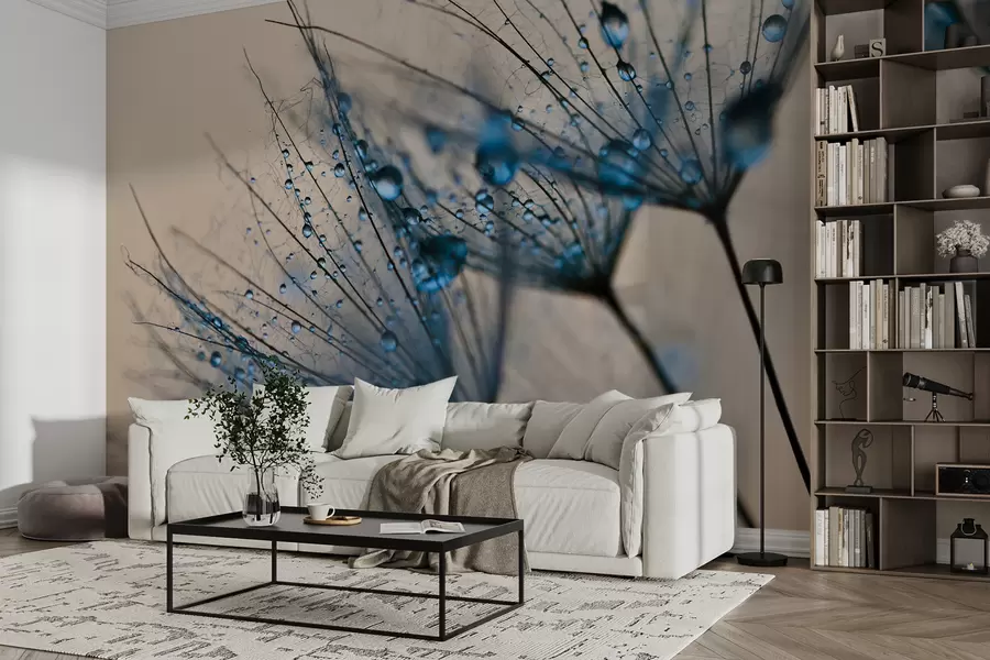 Carta da parati Floreale Tarassaco con gocce d'acqua n. u57557