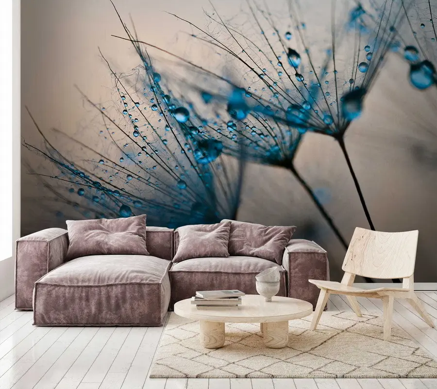 Carta da parati Floreale Tarassaco con gocce d'acqua n. u57557