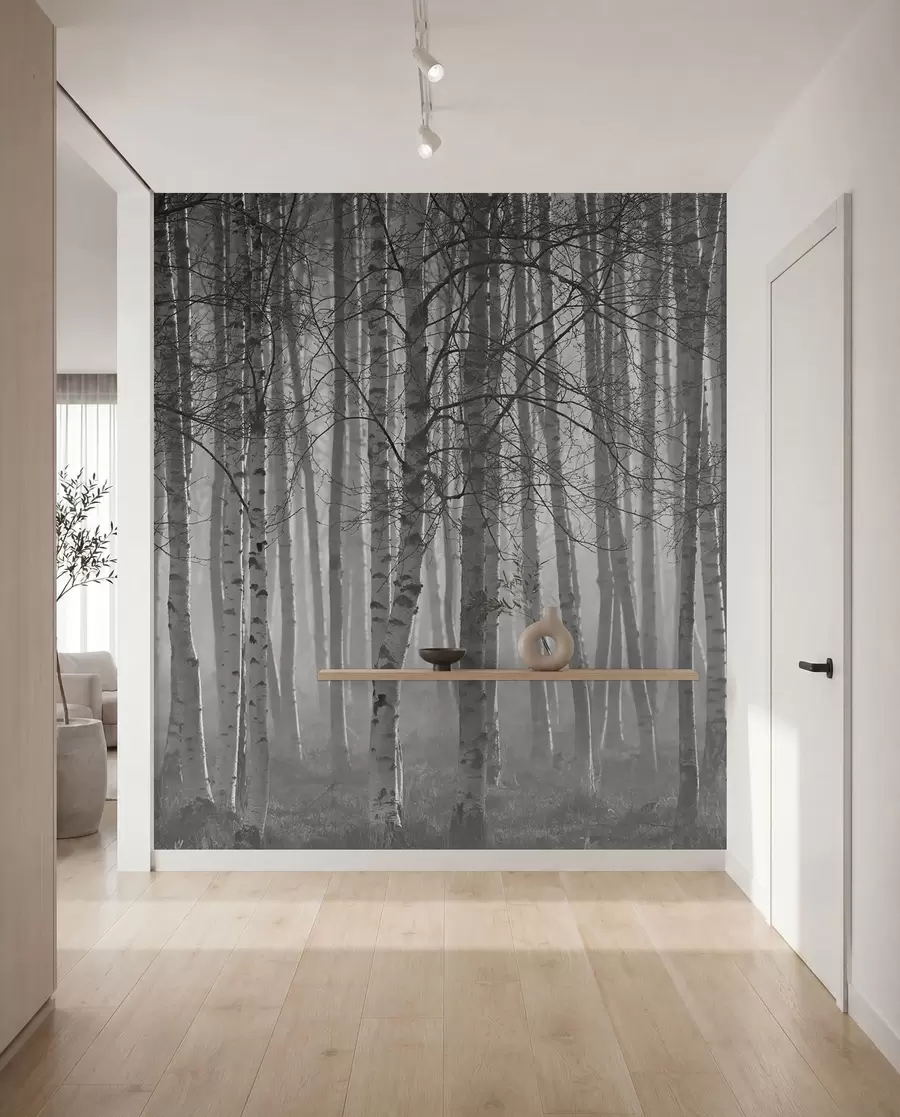 carta da parati Nebbia mattutina nella foresta di betulle nr. u58971