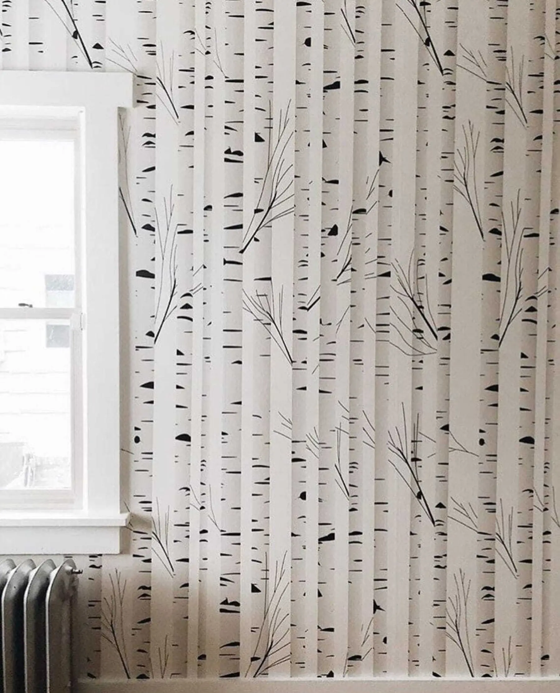 carta da parati Bosco di betulle nr. u58973