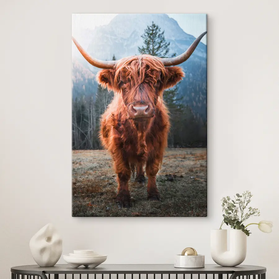 carta da parati Maestosa mucca delle Highlands in un paesaggio lussureggiante nr. s37629
