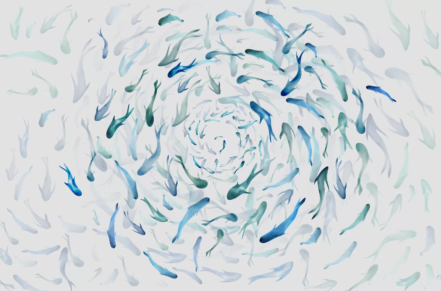 carta da parati Pesce che vortica in una vasca idromassaggio, danza del pesce, acquerello, squalo, composizione astratta, minimalismo, colore blu, verde nr. w00510