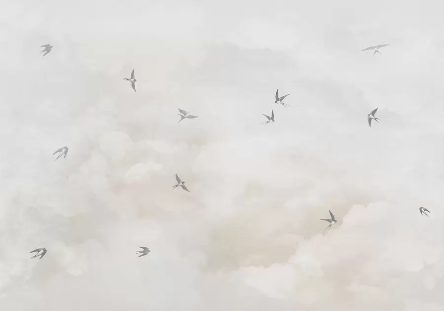 carta da parati Cielo con rondini nr. w00526v2