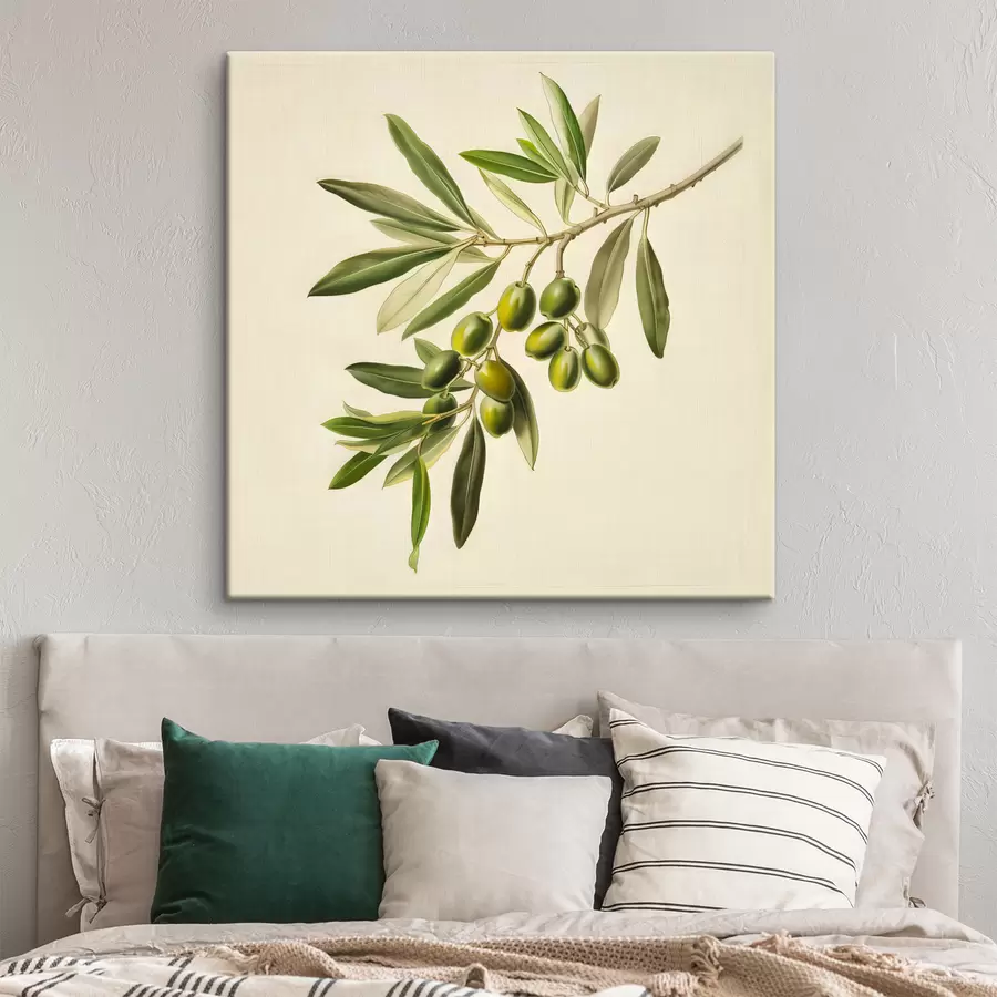 carta da parati Ramo d'olivo nr. s38411