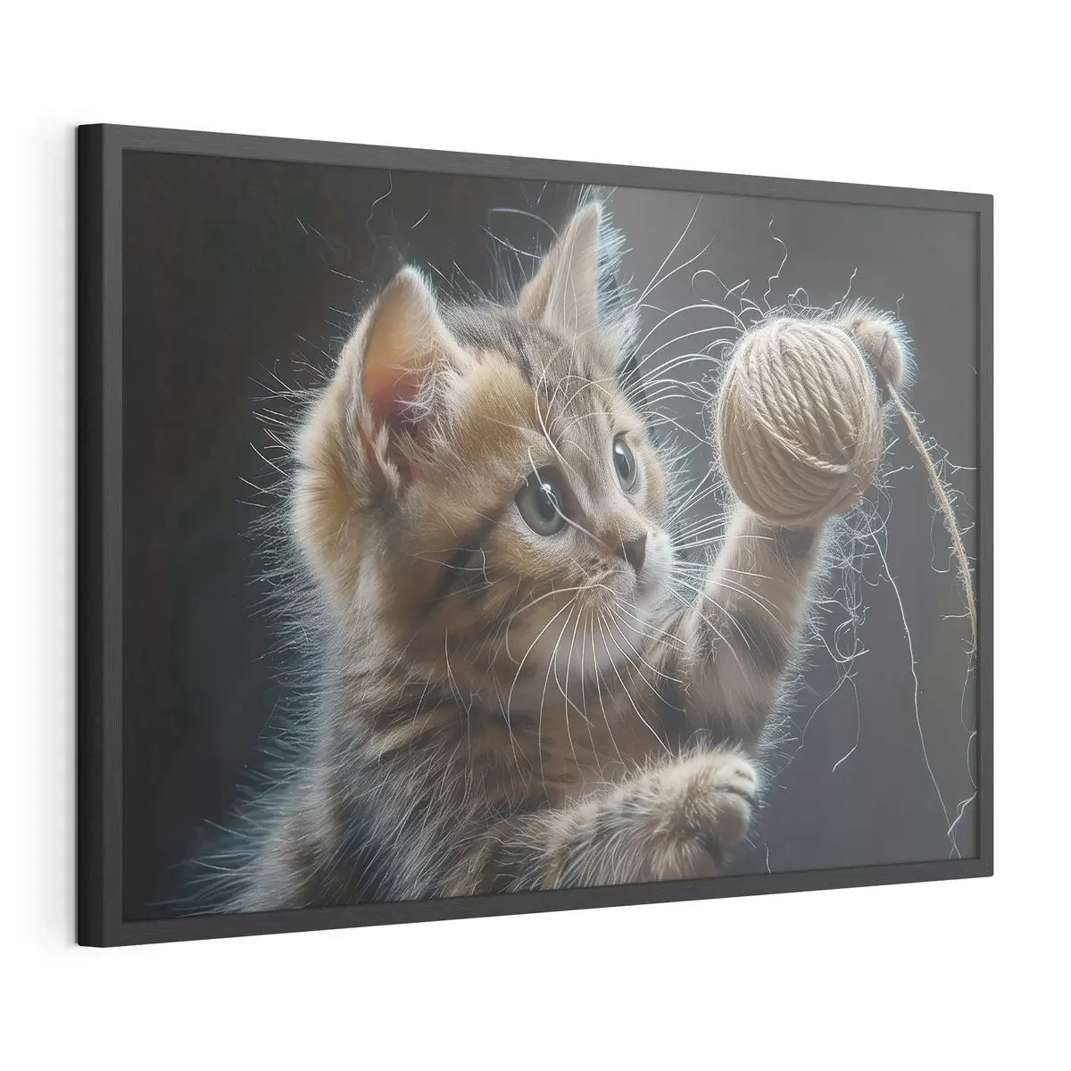 Poster Gatto carino f38463