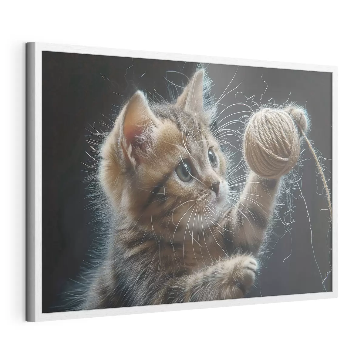 Poster Gatto carino f38463