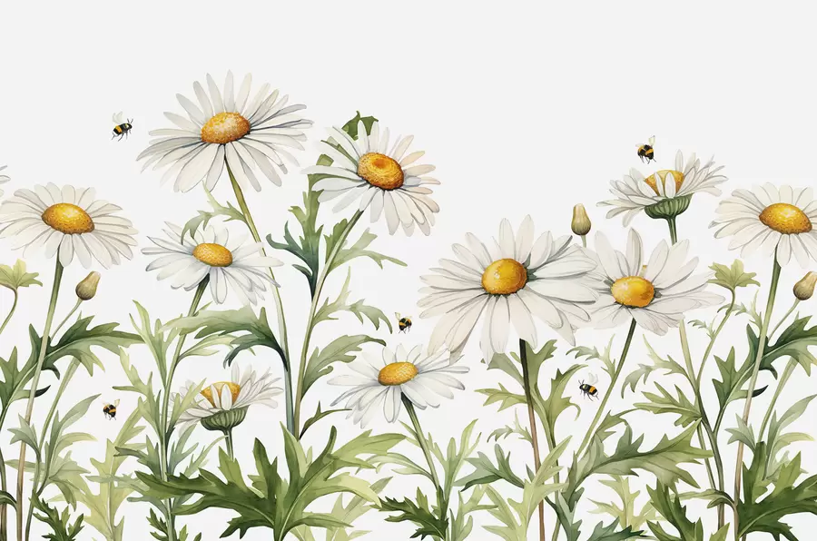 Carta da parati Floreale Margherite bianche in fiore, api che volano illustrazione di piante ad acquerello, colore verde, bianco, giallo n. w01176