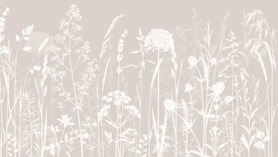 Carta da parati nature Delicato minimalismo di piante e fiori da campo 