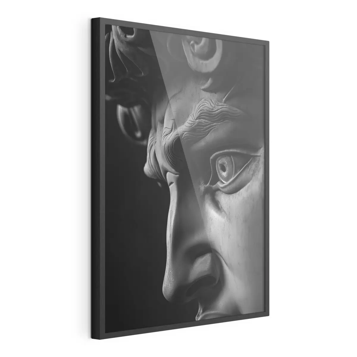 Poster ritratto ravvicinato di David di profilo f26124