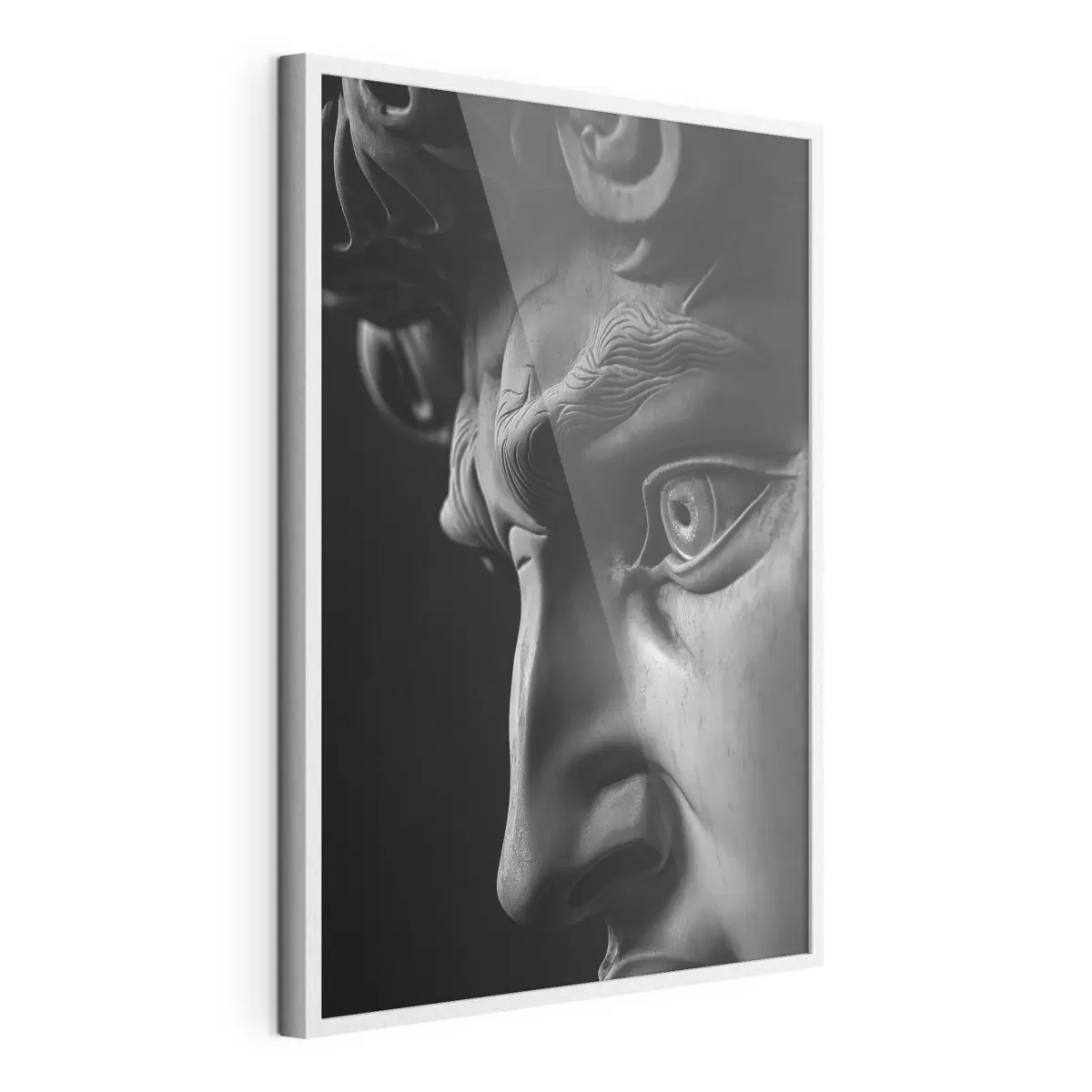 Poster ritratto ravvicinato di David di profilo f26124