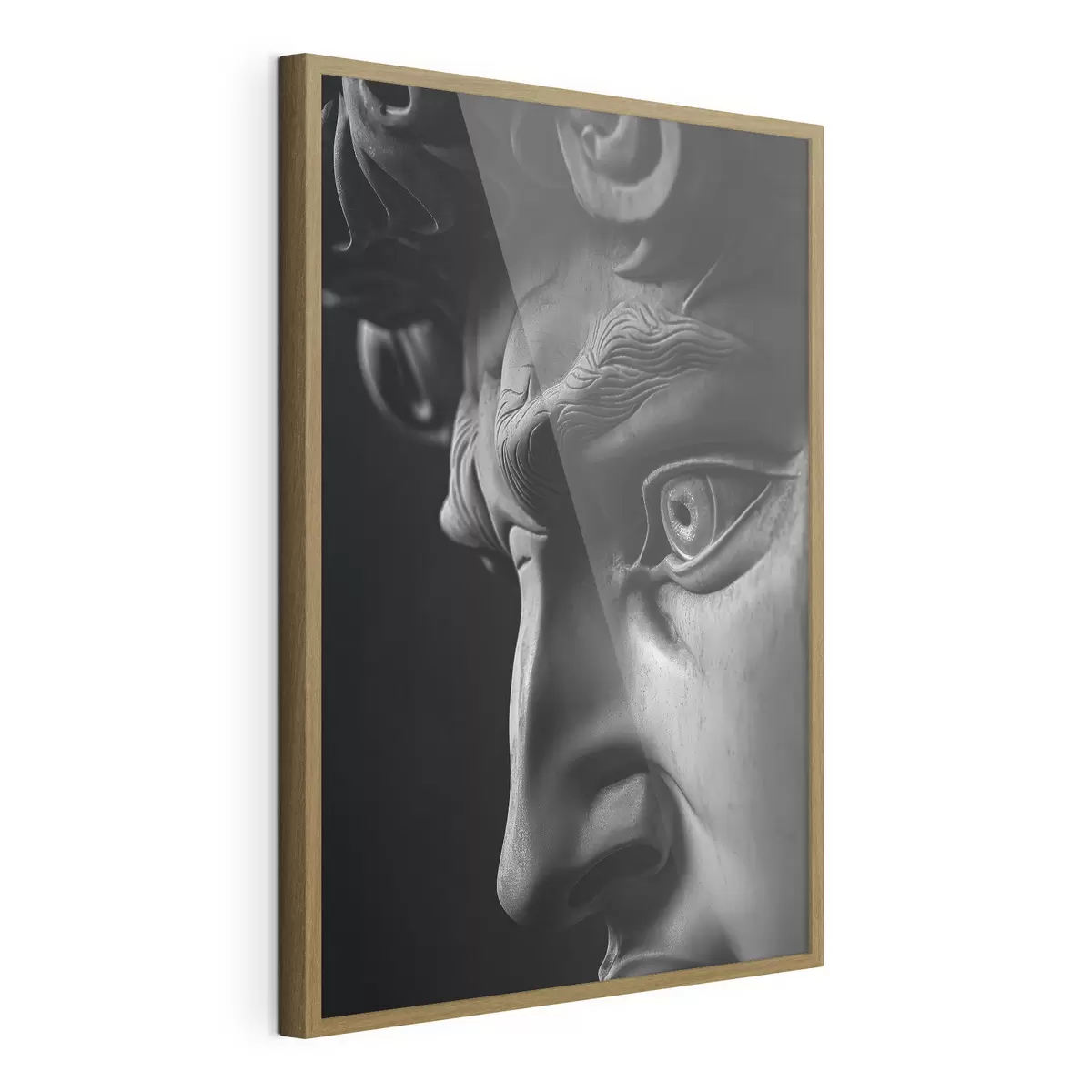 Poster ritratto ravvicinato di David di profilo f26124