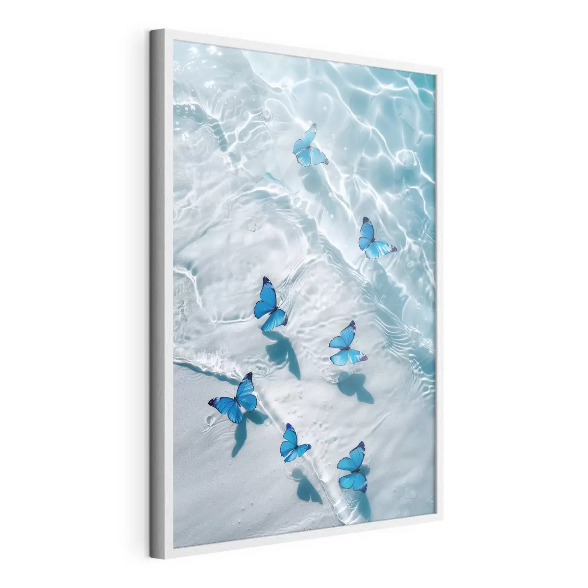Poster Bellissime farfalle f39227