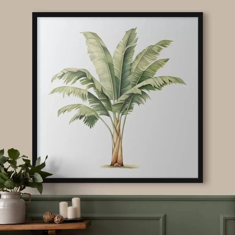 carta da parati Illustrazione minimalista ad acquerello di una palma da banana nr. f39562