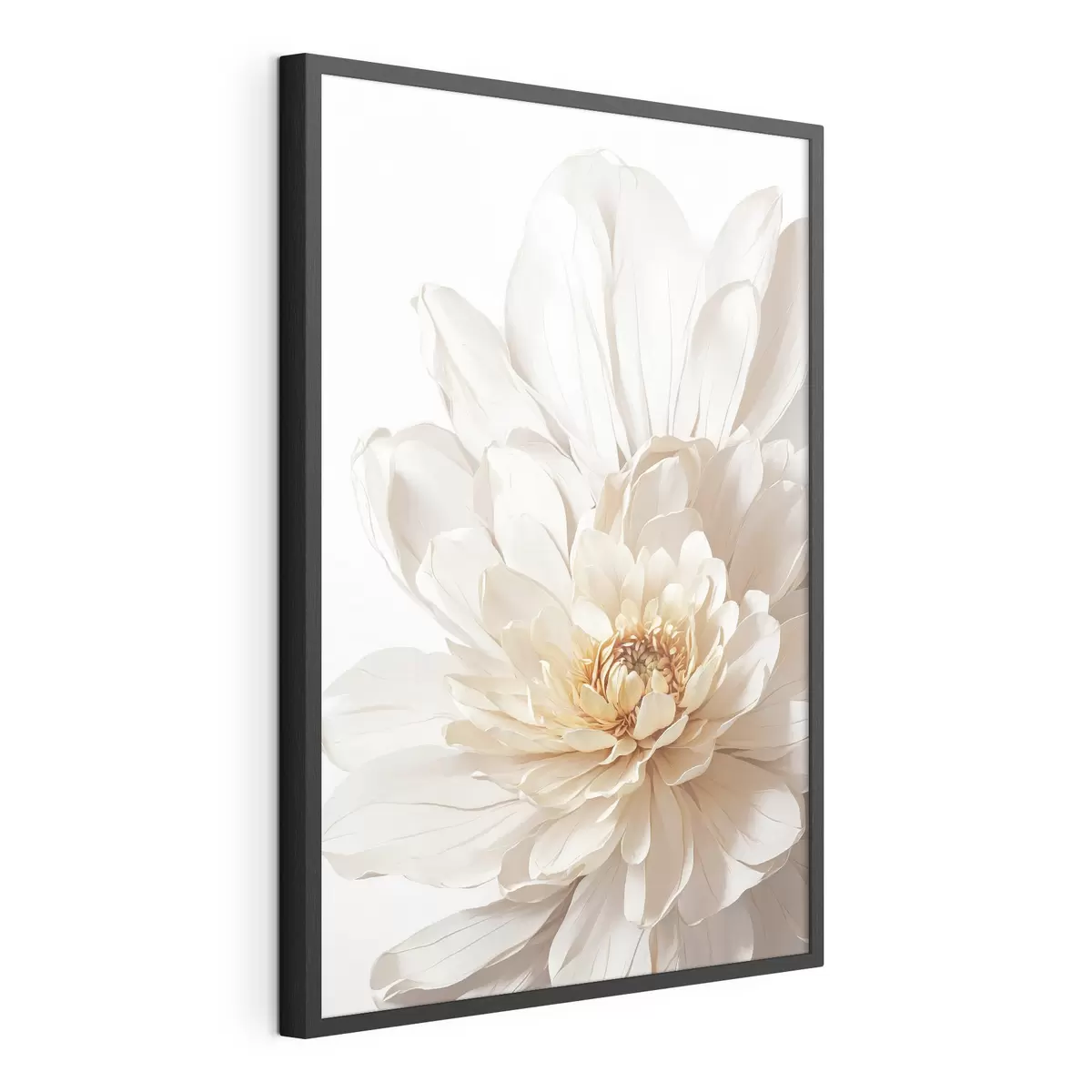 Poster Primo piano del fiore bianco su fondo bianco f39857