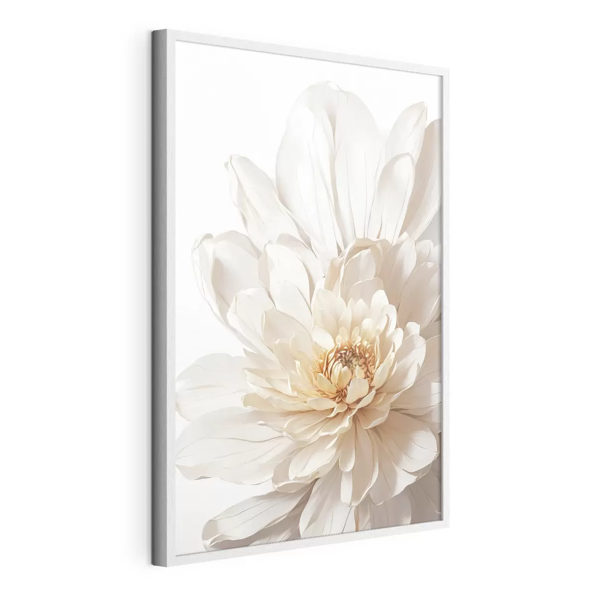 Poster Primo piano del fiore bianco su fondo bianco f39857