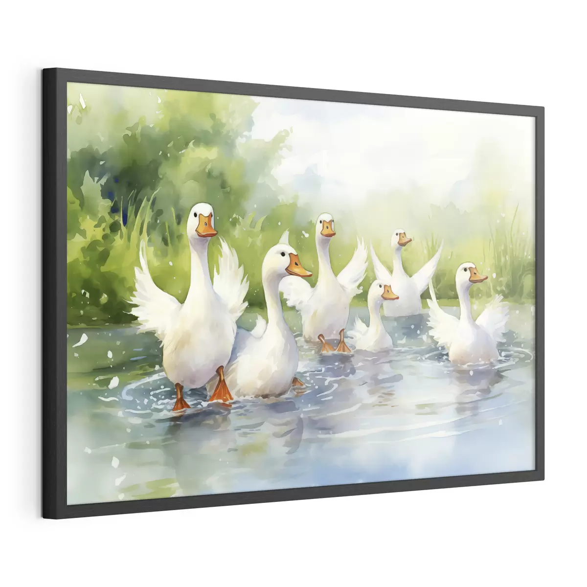 Poster Oche bianche che fanno il bagno in uno stagno dipinto ad acquerello f39939