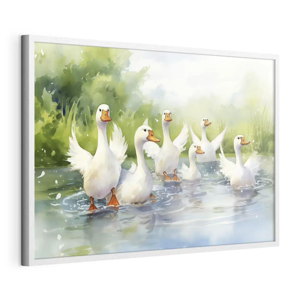 Poster Oche bianche che fanno il bagno in uno stagno dipinto ad acquerello f39939