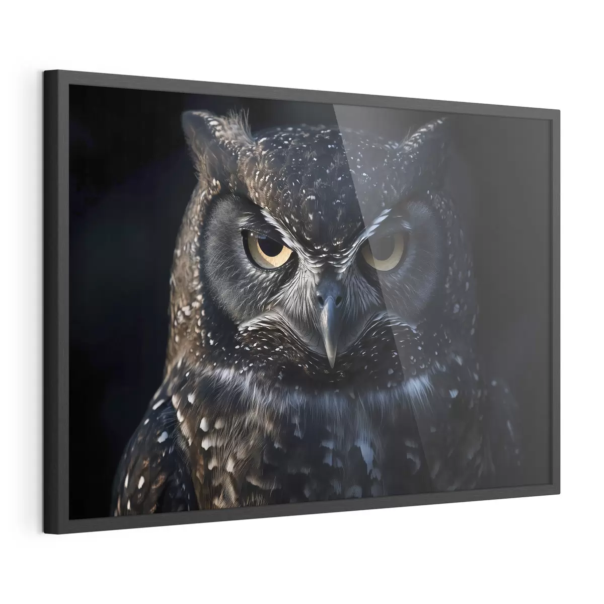 Poster Vista del gufo f40271