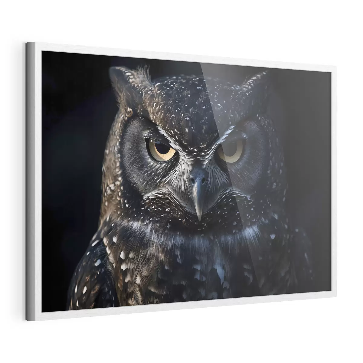 Poster Vista del gufo f40271
