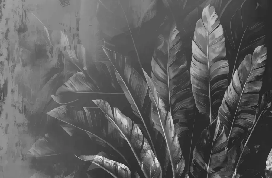 carta da parati Foglie nere nr. w00971