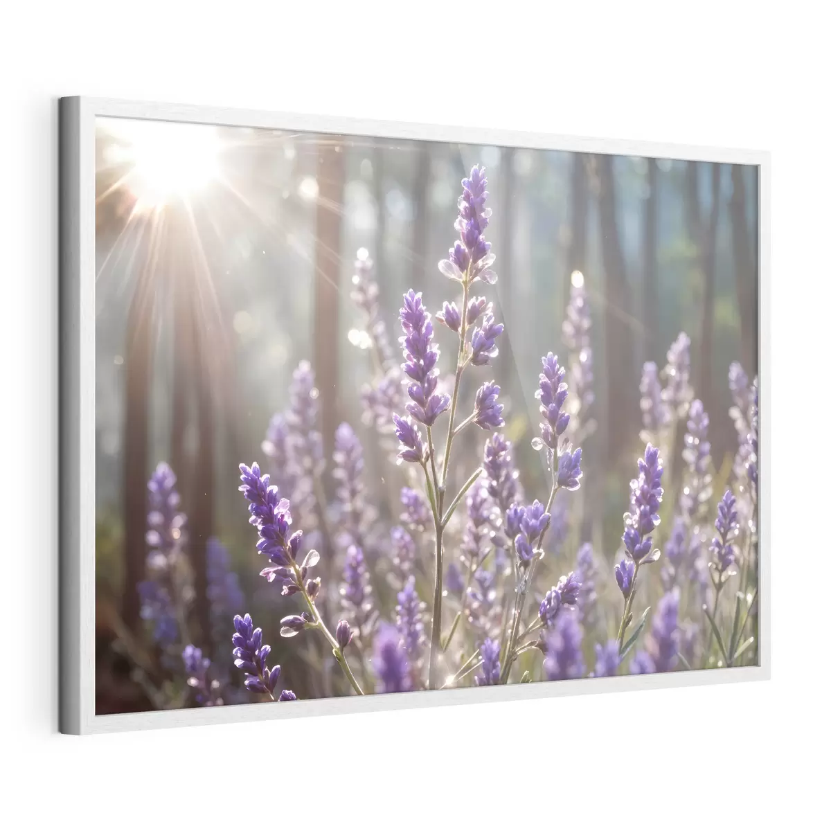 Poster Fiori e eternità f40570