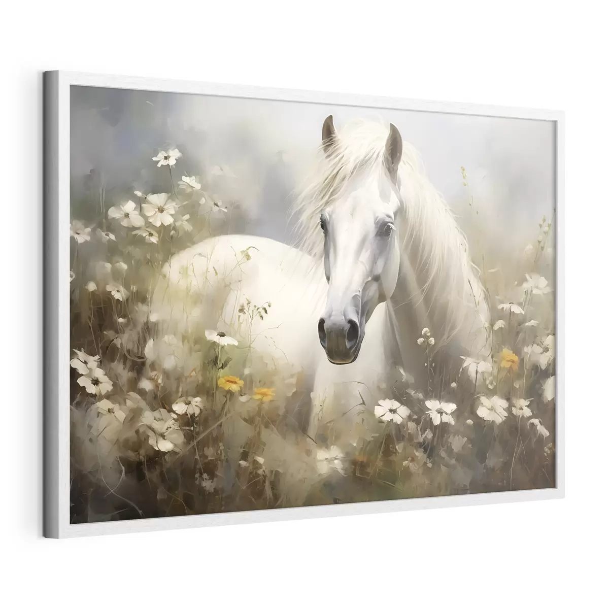 Poster Cavallo bianco nell'erba tra le margherite f40533