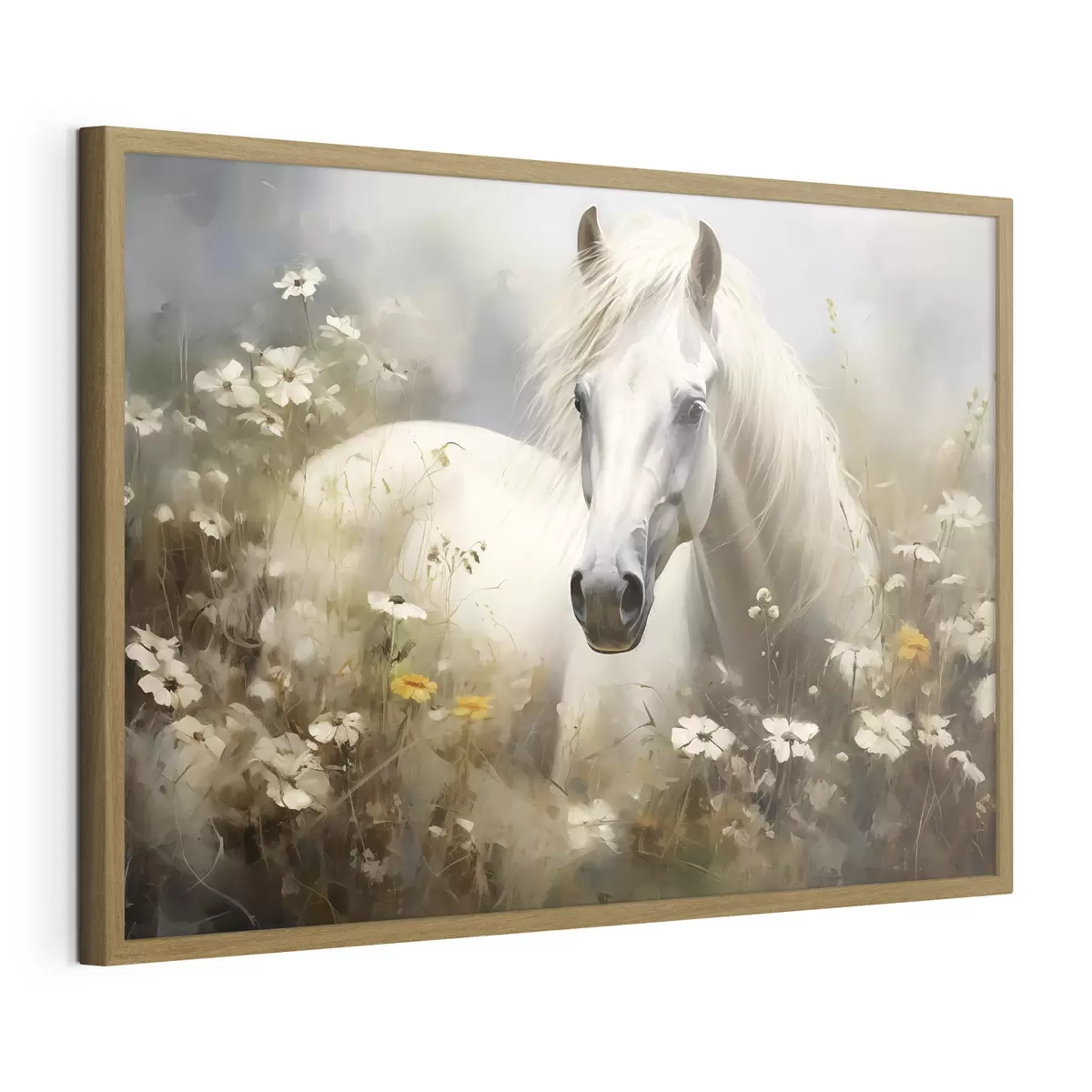Poster Cavallo bianco nell'erba tra le margherite f40533