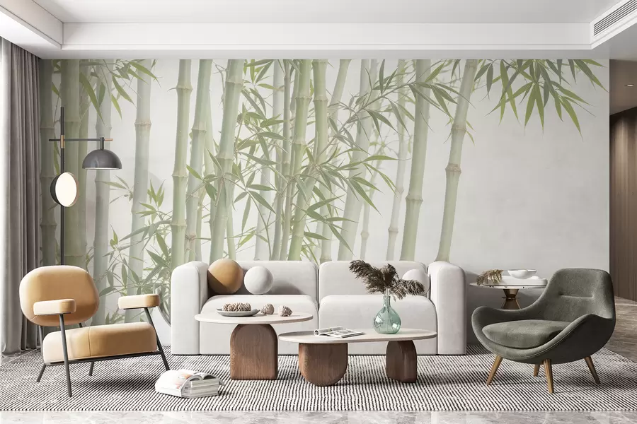 carta da parati Una fitta foresta di bambù con alti steli di bambù e foglie verdi su uno sfondo morbido e nebbioso nr. w08237