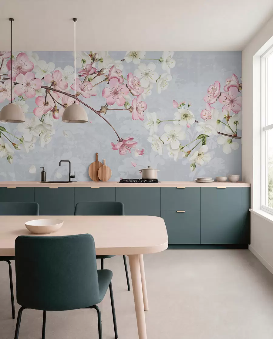 carta da parati Fiori di ciliegio bianchi e rosa in piena fioritura, con morbidi petali che cadono su uno sfondo blu strutturato nr. w08254