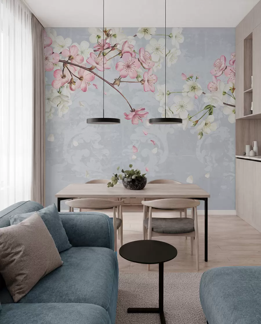 carta da parati Fiori di ciliegio bianchi e rosa in piena fioritura, con morbidi petali che cadono su uno sfondo blu strutturato nr. w08254