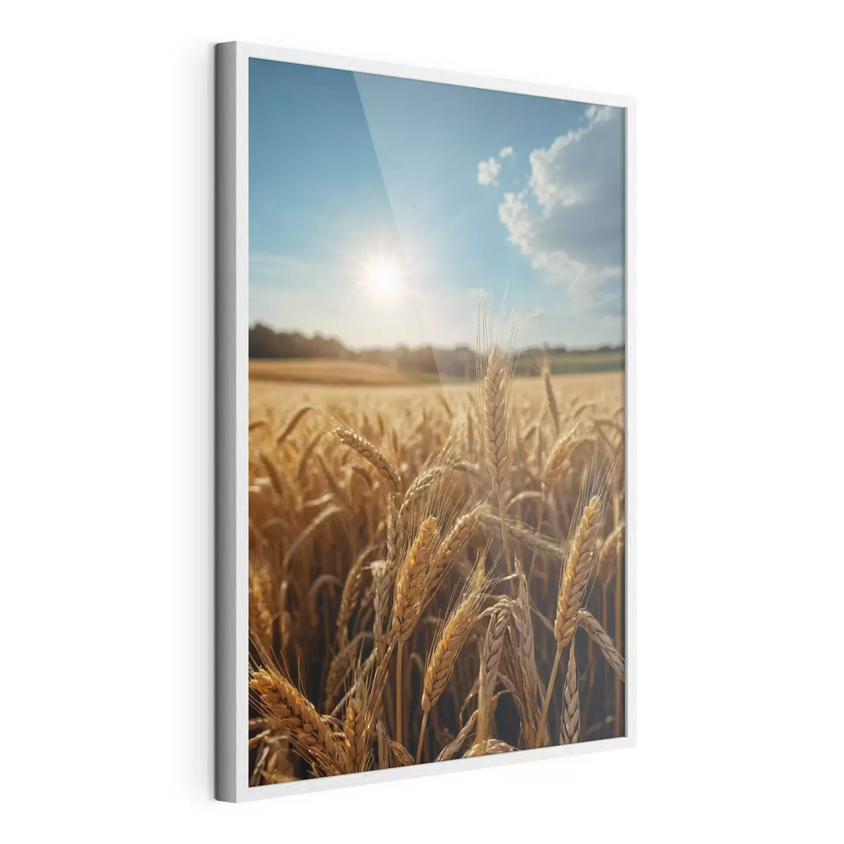 Poster Campo di grano f40877