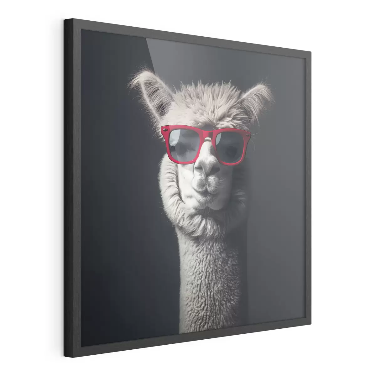 Poster Lama di carattere f40996