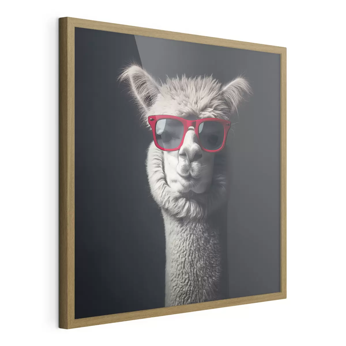 Poster Lama di carattere f40996