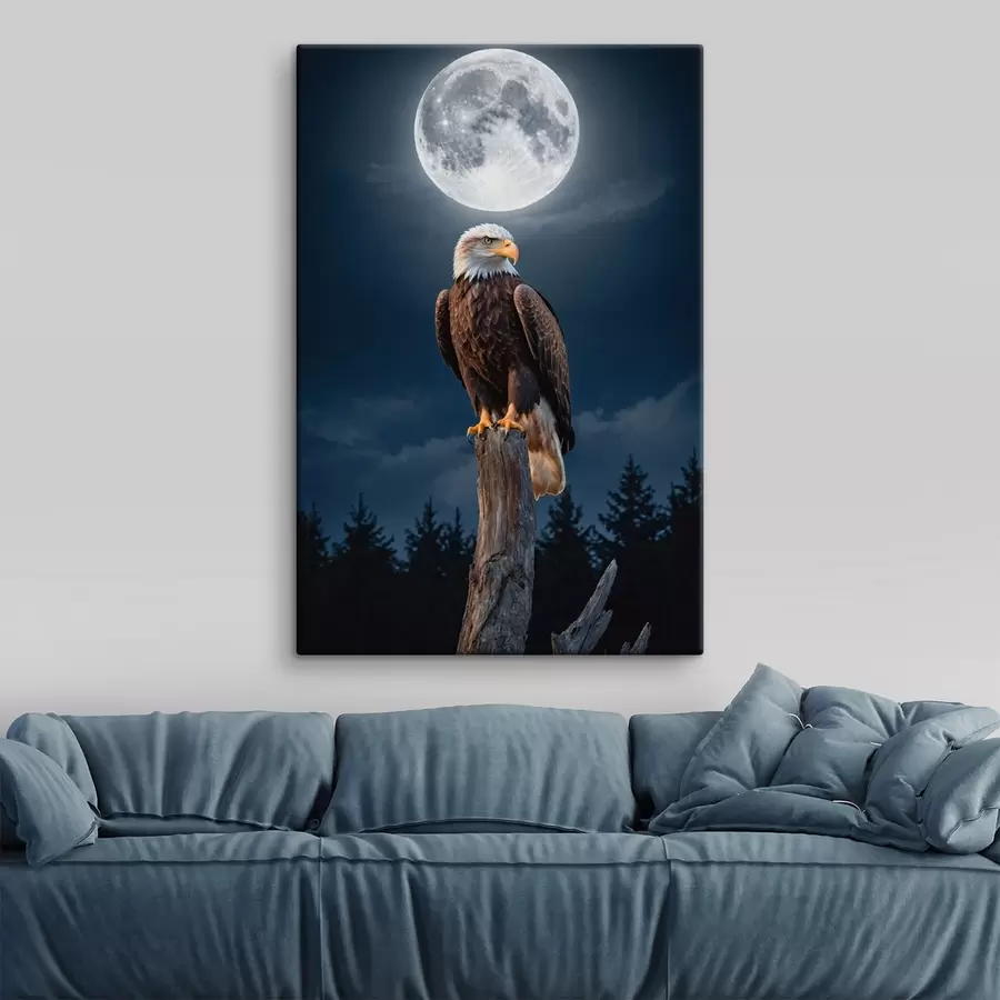 carta da parati Aquila su sfondo lunare nr. s41043