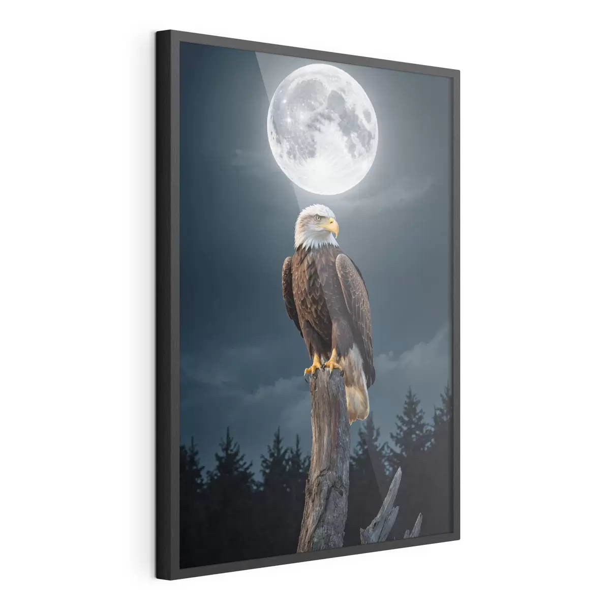 Poster Aquila su sfondo lunare f41043