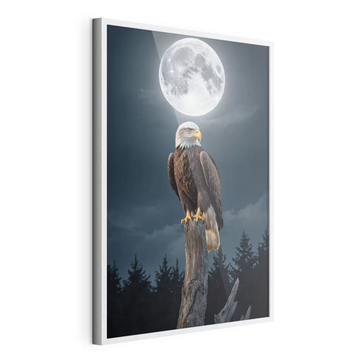 Poster Aquila su sfondo lunare f41043