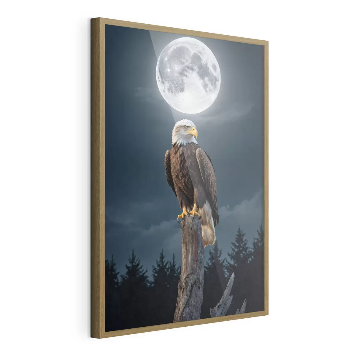 Poster Aquila su sfondo lunare f41043