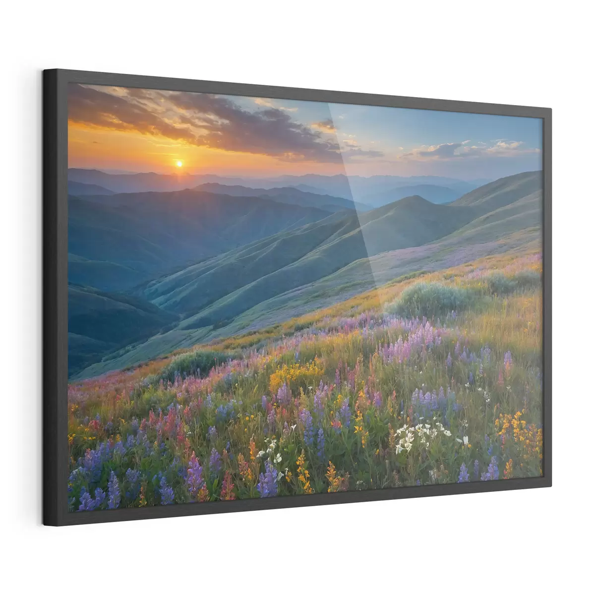 Poster Fiori sulle montagne f41048