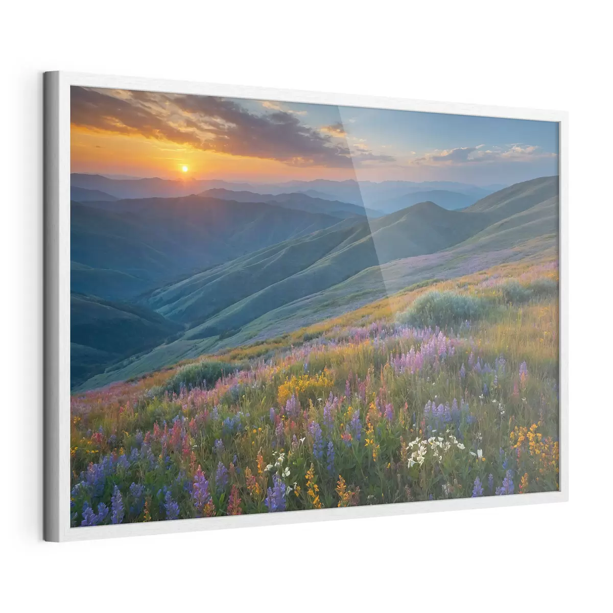 Poster Fiori sulle montagne f41048