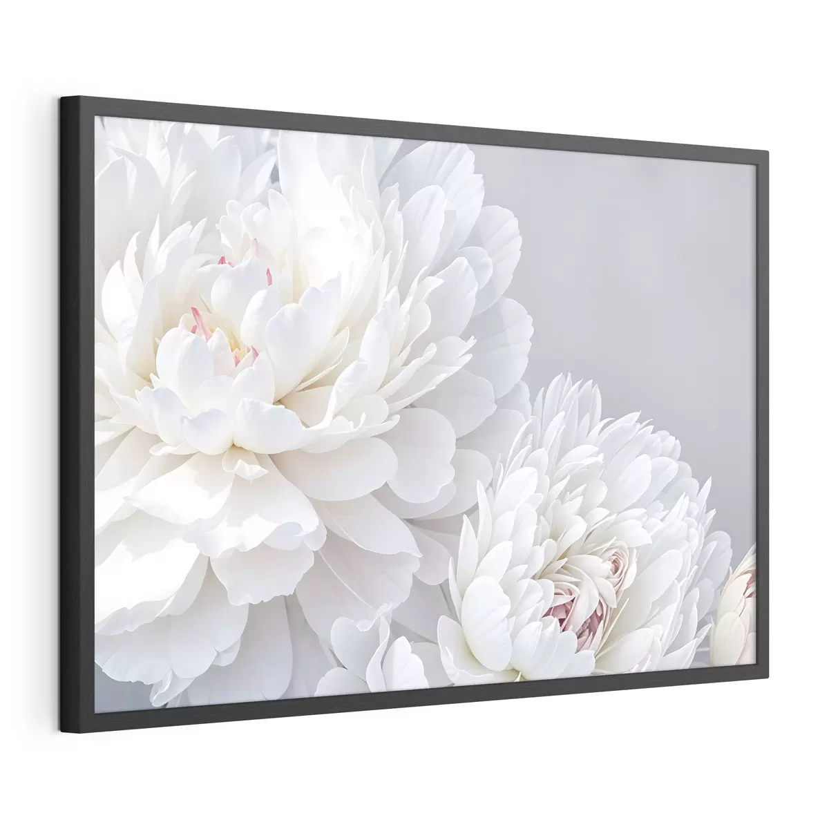 Poster Peonie e passione f41085