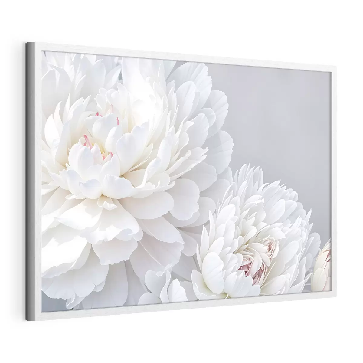 Poster Peonie e passione f41085
