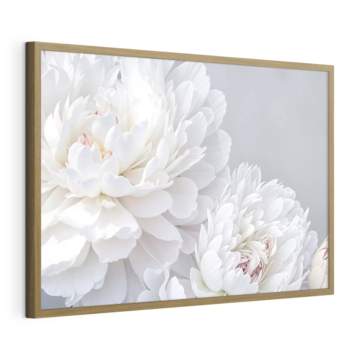 Poster Peonie e passione f41085