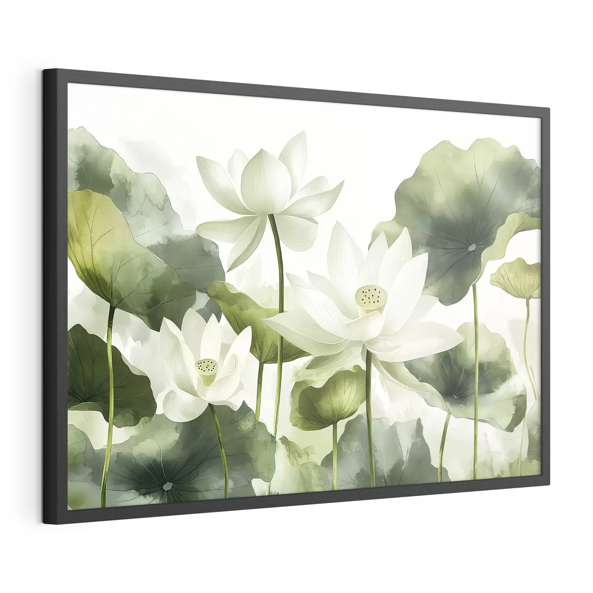 Poster Bellissimi fiori di loto acquerellati f41227