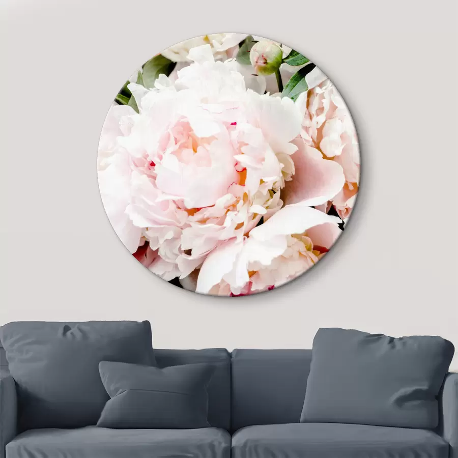 carta da parati Foto della peonia rosa nr. r35241