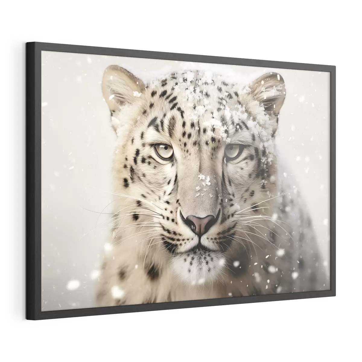 Poster Sguardo di neve f41434